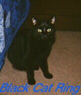 Black Cat Ring!