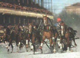 troika sled race