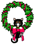 cat on wreath