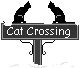 cat crossing