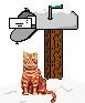 cat & mailbox